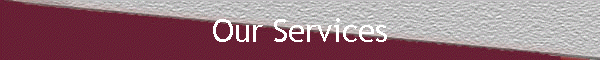 Our Services